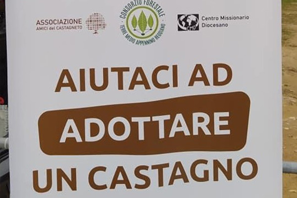 adotta un castagno