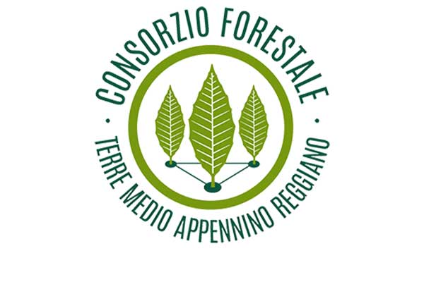 il vivaio delle piante di castagno