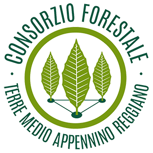logo consorzio